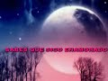 Los Brincos - Tu me dijiste adios (karaoke)