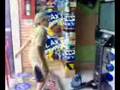 SERGIO FUNSTYLE(GET MY PHONE CALL)