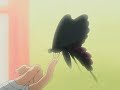 Bleach- Hey Rangiku!