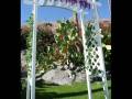 The Battle of Prop 8, A Wedding Story