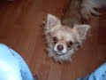 Bengie!