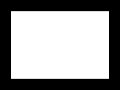 Jajo
