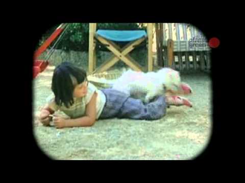 distract - For more, visit http://planetgreen.discovery.com | Isabella Rossellini has always had a love of animals dating back to her childhood. Here she talks about he...