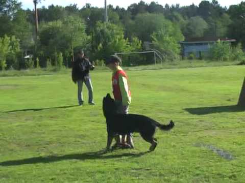 Chiempionat Rossii po IPO 2010, B-72|-