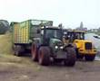 maize harvesing