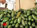 FDA: US Jalapenos OK, Avoid Those From Mexico