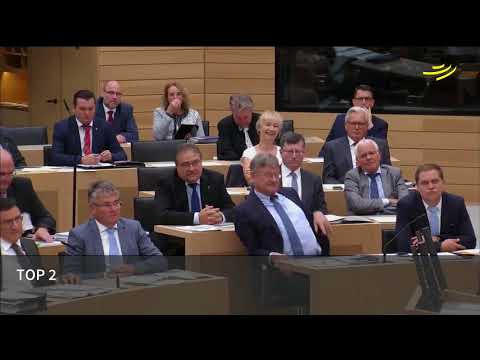 Hans-Ulrich Rülke (FDP): Tausendjahrvergleiche von Be ...