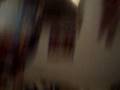 videos de new webkinz(lil kinz without tag.)