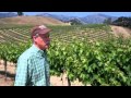 Rominger Brothers - Grapes