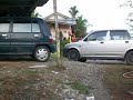 ibanrejang -Merik anak mandi (Iban cultural)