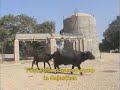 Women of Tilonia - Kaushalya