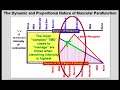 The Proportional Nature of Muscular Parafunction