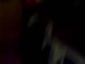 videos de dfgsdf