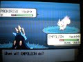 Shiny Pachirisu With Poke Radar Shiny Pachirisu With Poke Radar