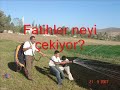 Thumbnail #3