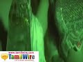 Tamil Song - Hey! Nee Romba Azhaga Irukke - Oru Kadhal Vandh