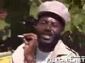 jamaican tour guide