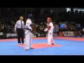 Female -49 kg 2009 World Taekwondo Championships C