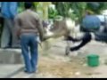 See Video