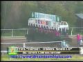 Favorita Soy Gana la Copa Importadora Torres Morillo (Clasico de Criadores - 2009)