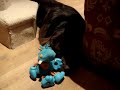 Bean and Minnie - Bean and the Hippo Bean and Minnie - Bean and the Hippo