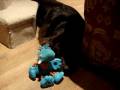 Bean and Minnie - Bean and the Hippo