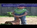 UK CHARITIES TO BENEFIT FROM EARTH PRO..mov