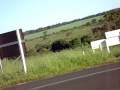 videos de Juliano CB 500 Santa Vitoria MG
