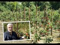 Bruhenny TV: Clashganniv Apple Farm