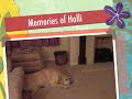Memories of Holli