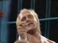 Hulk Hogan Tribute Hulk Hogan Tribute