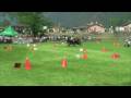 Lostallo 2007 Cavalli e carrozze CONCORSO INTERNAZIONALE ATTACCHI video 2