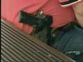 ABC Nightline  - Open Carry Goes Mainstream