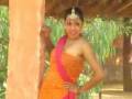 videos de Peach Pure Georgette Bandhej Saree with Blouse