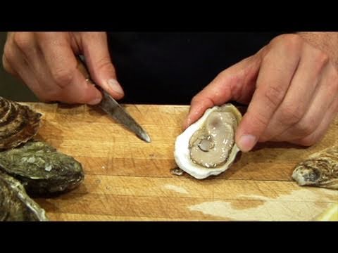 how to properly store live oysters