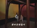 不怕生的兔寶寶