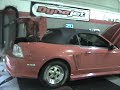 820HP Street Driven 4.6 Mustang GT by BDP 820HP Street Driven 4.6 Mustang GT by BDP