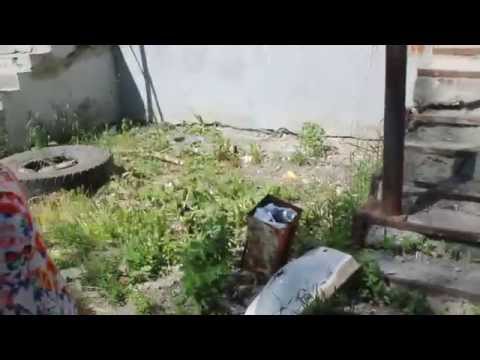 YouTube &ETH;&cent;&Ntilde;&ETH;&micro;&ETH;&sup1;&ETH;&raquo;&ETH;&micro;&Ntilde;