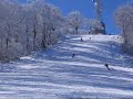 freeski019