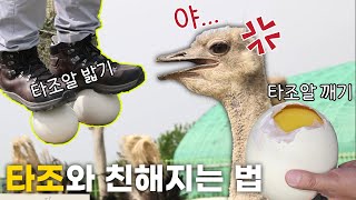 함안