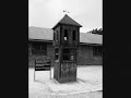 VNV Nation-Chrome - 
