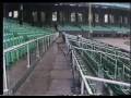 1979 Disco Demolition Night, Local News Coverage