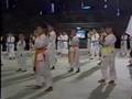 1990 Okinawan Karate ~ Kobudo Festival # 2