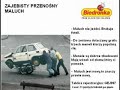 biedronka nowe promocje