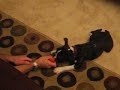 Get Away from My Ball! Get Away from My Ball!