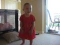videos de thanksgiving.mov