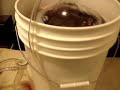 Washing machine spin cycle to shake-degass Washing machine spin cycle to shake-degass