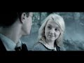we are   dumbledores army