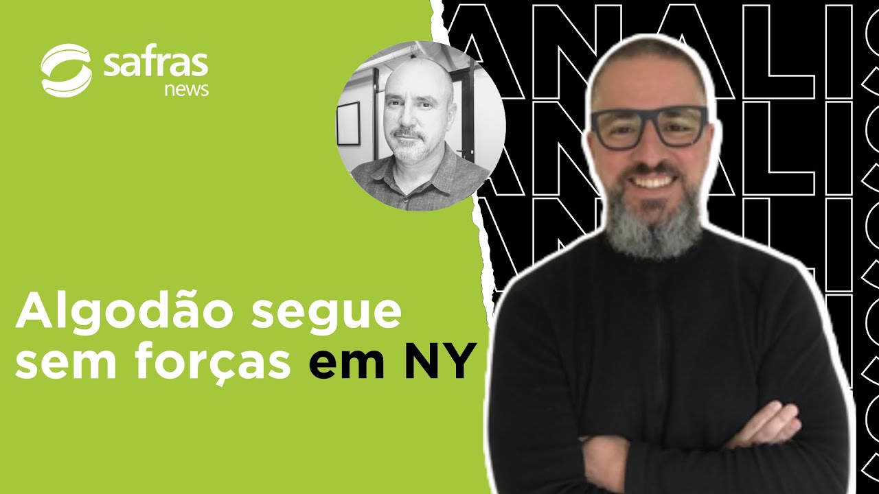 Algodão não reage em NY e pressão aumenta no Brasil. Analista explica