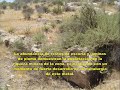 el poblado ibero de dalias, murgi, turaniana, vergi, abdera. historia de dalias, el ejido adra berja roquetas de mar, arquologia dalias, antonio hidalgo 2008